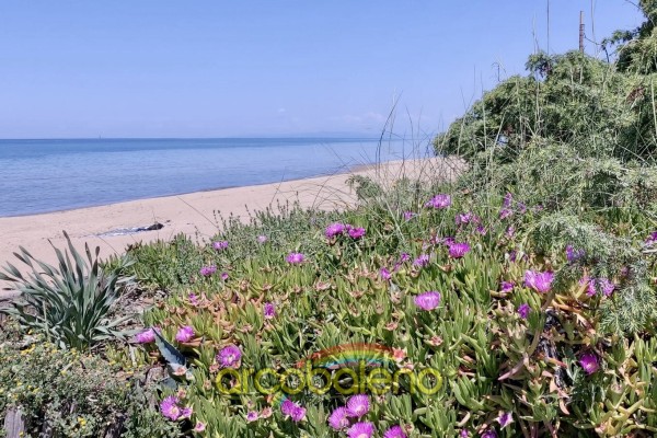 San Vincenzo - Villaggio Eurot