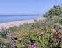 San Vincenzo - Villaggio Eurot