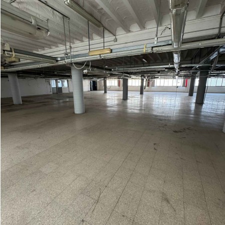 Fittasi laboratorio - Casandri