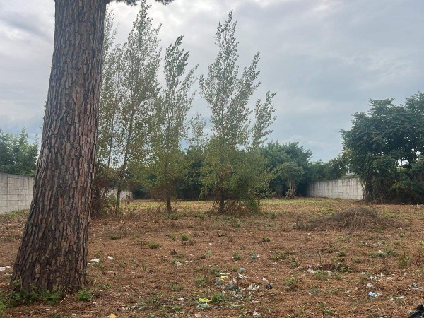 foto immobile rif 2039