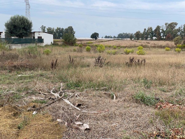 foto immobile rif 388