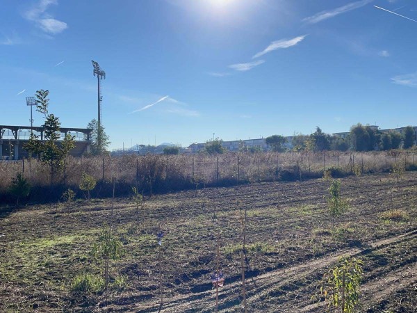 foto immobile rif 398