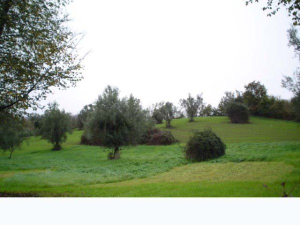 foto immobile rif 522