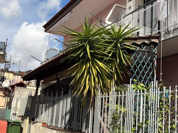 foto immobile rif 1296