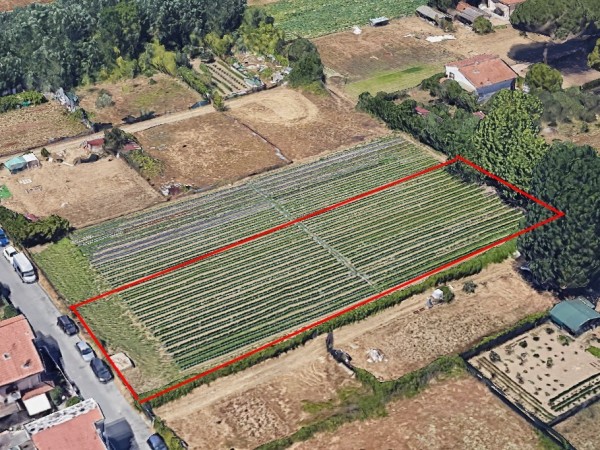 Riferimento 2M40500 - Terreno Agricolo in Vendita a Torre Del Lago Puccini