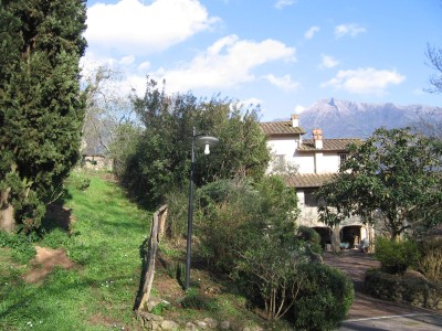 Dettagli immobile Casale - Masseria - Podere in Vendita a Camaiore
