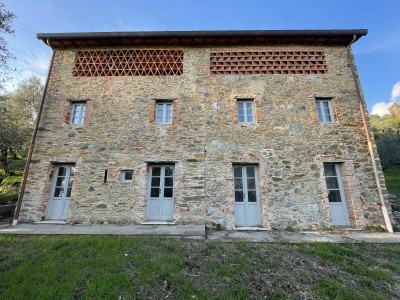 Video Colline di Camaiore Casale ris...
