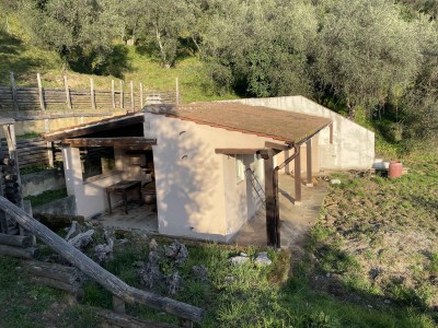 Dettagli immobile Casale in Vendita a Camaiore
