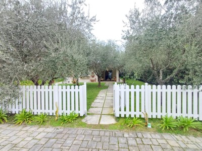 Forte dei marmi – in affitto...