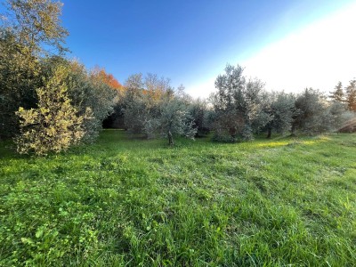 Dettagli immobile Villa in Vendita a Pietrasanta