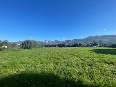 Dettagli immobile Terratetto - Terracielo in Vendita a Pietrasanta