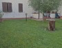 Appartamento piano terra con g