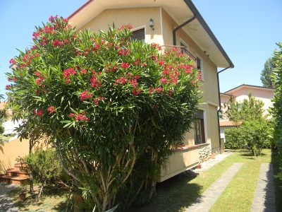 Marina di Pietrasanta – In a...