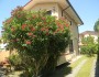 Marina di pietrasanta – in a