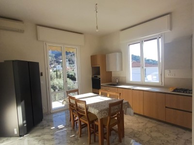 Dettagli immobile Appartamento in Affitto a Pietrasanta