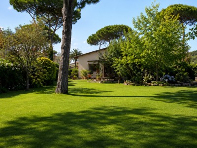 Dettagli immobile Villa Singola in Affitto a Forte Dei Marmi