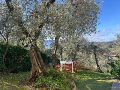 Dettagli immobile Appartamento in Vendita a Lerici