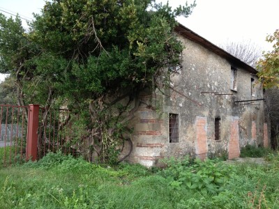 Casale da ristrutturare con 17