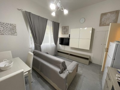 Dettagli immobile Appartamento in Affitto a Pietrasanta