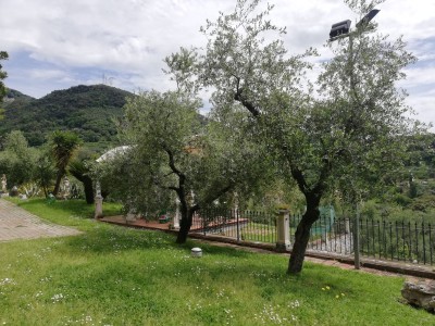 Dettagli immobile Villa Singola in Vendita a Pietrasanta