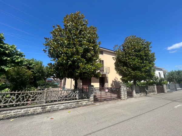 Foto anteprima F-128