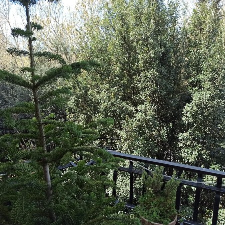 Viale Giacomo Leopardi – spa