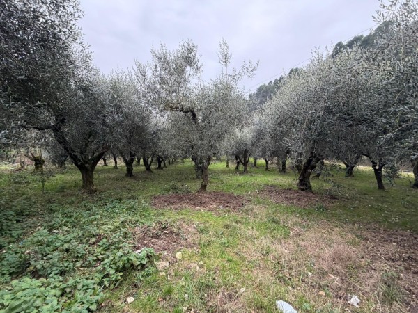 foto immobile rif You0107