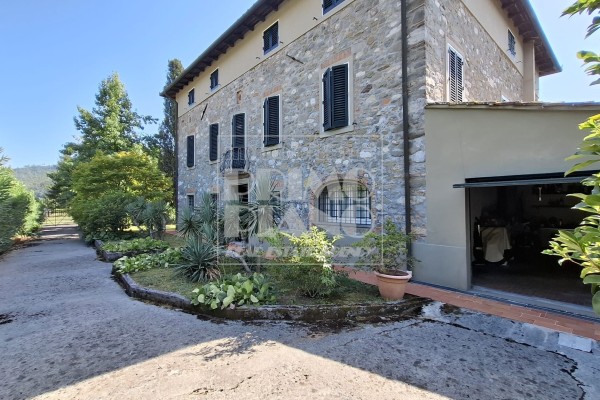 Casale