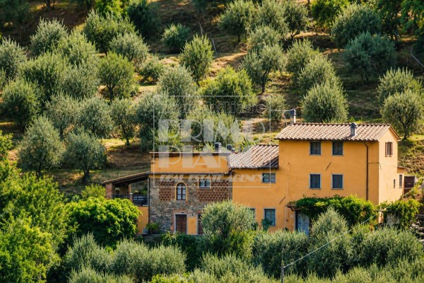Rustico In Vendita A Capannori