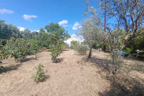 Casa Indipendente
