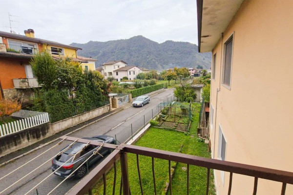 vista
