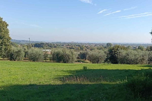 Terreno Edificabile In Vendita