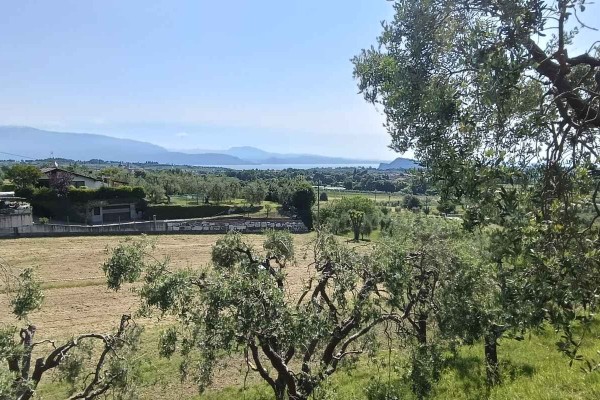 Terreno Edificabile In Vendita