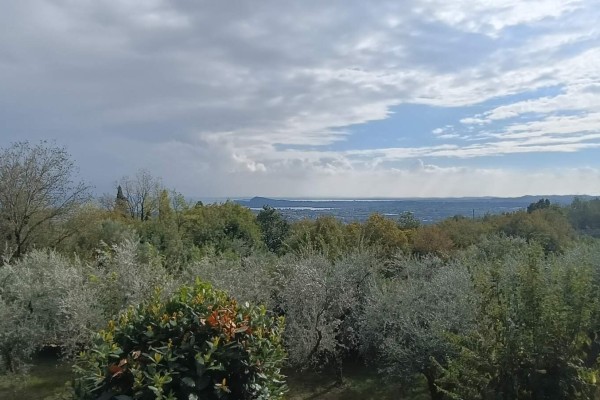 Azienda Agricola In Vendita A 
