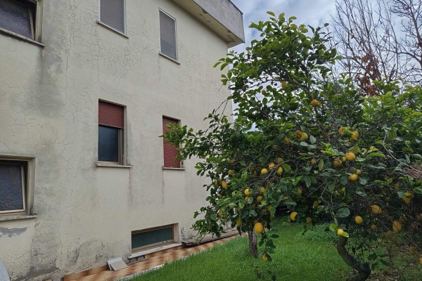 Terratetto - Terracielo In Ven