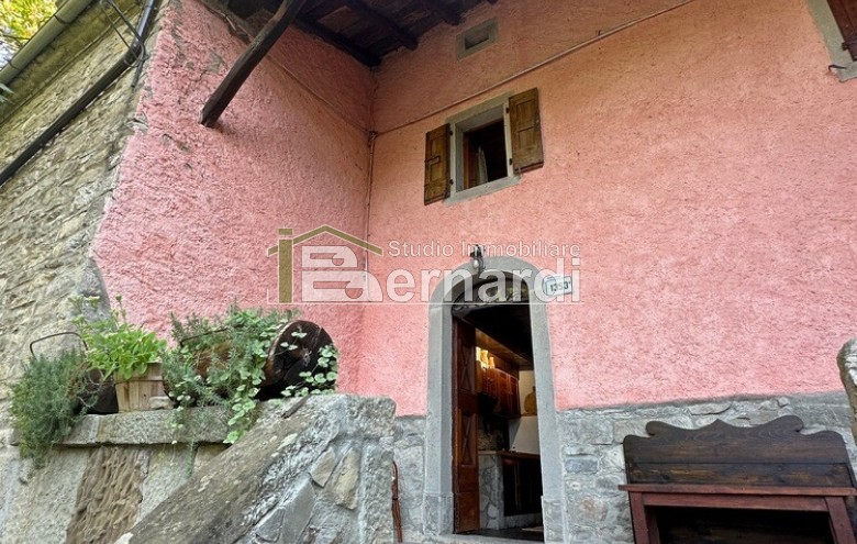 Immagine 3 