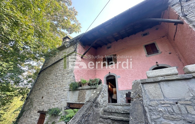 Immagine 2 