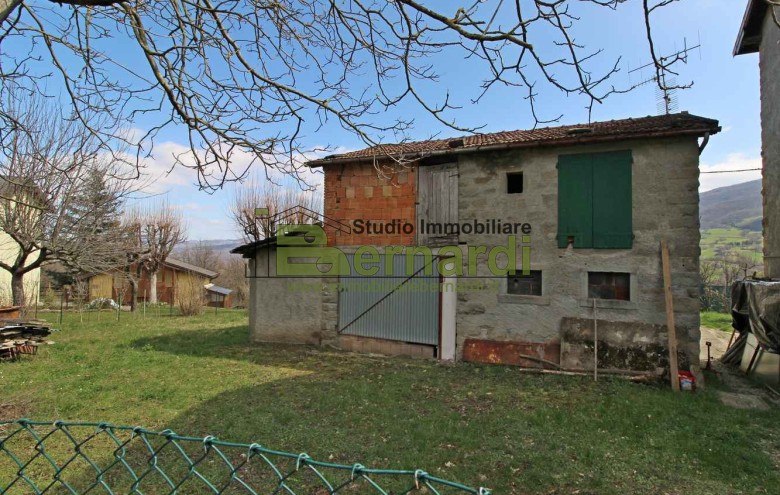 Immagine 1 