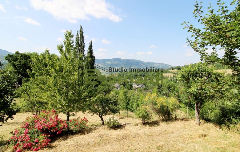 Immagine 4 