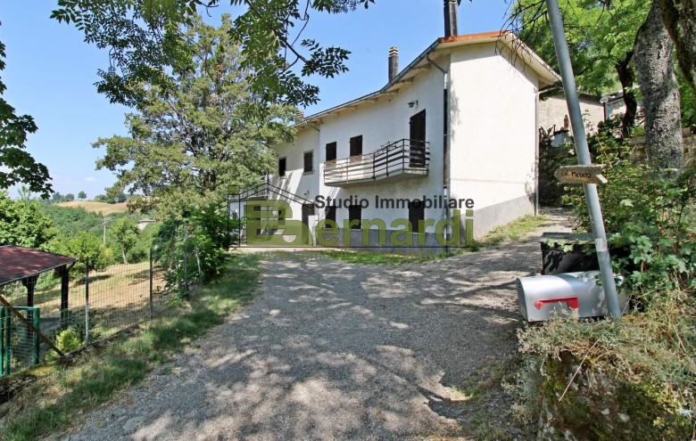 Immagine 3 