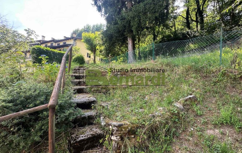 Immagine 33 