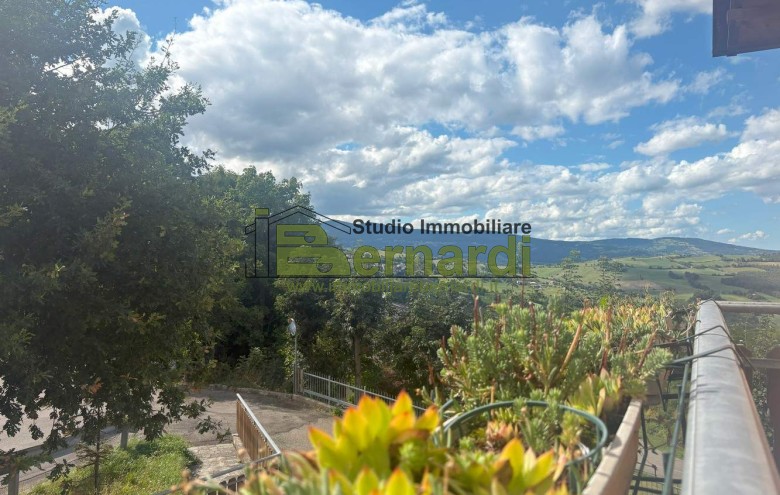 Immagine 5 