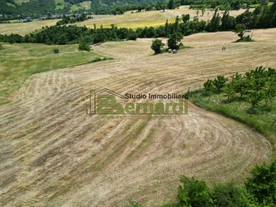 Terreno Edificabile in Vendita a Fanano 1 