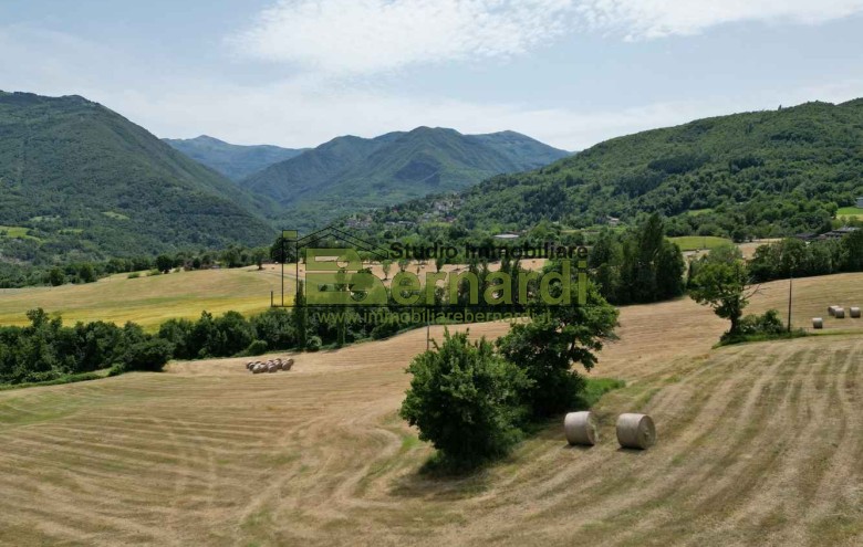 Immagine 2 