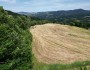 Terreno edificabile nella pano