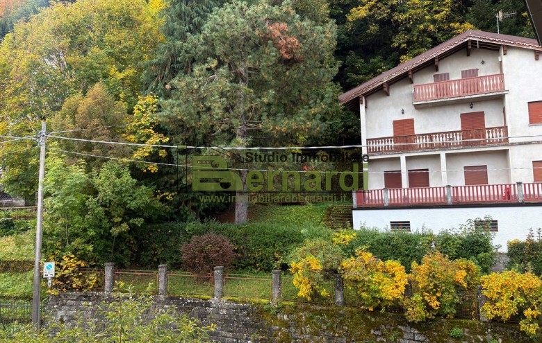 Immagine 7 