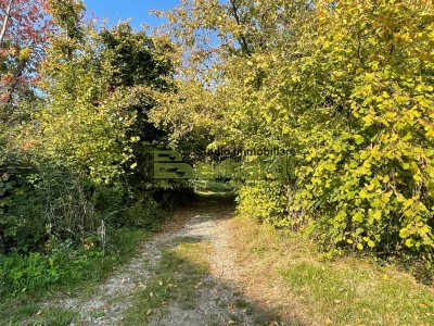 Casa Indipendente in Vendita a Sestola 1 