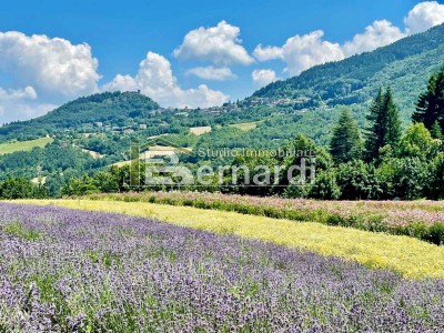 Appartamento in Estivo a Sestola 1 
