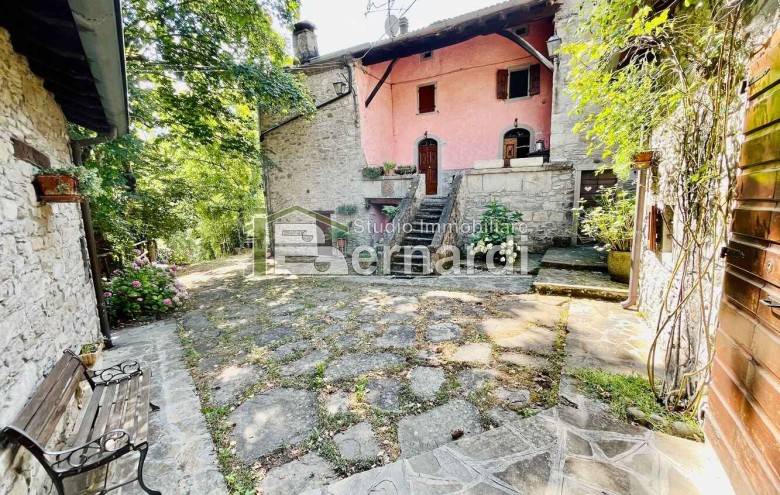 Immagine 2 