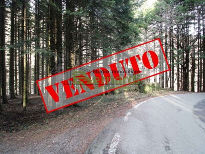 Rustico di facile accessibilit...